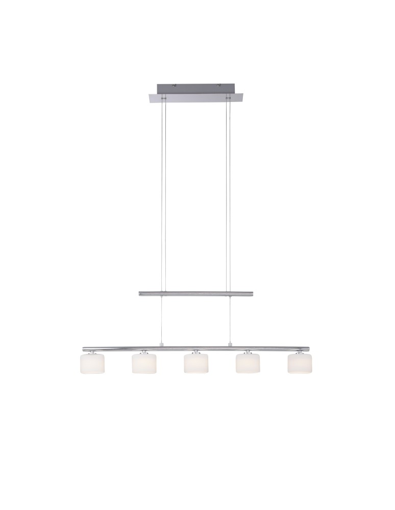 Lampy wiszące na listwie - Paul Neuhaus Hydra Wisząca Regulowana Wysokość 103-180cm Srebrny / Transparentny 2209-55 - produkt kolory-swiatla.pl 1