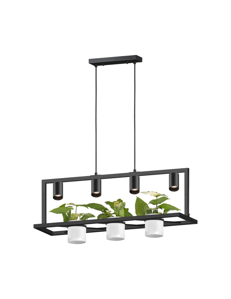 Lampy wiszące - Zuma Line Planter Lampa Wisząca Na Kwiaty Czarny P0536-04B-P7Ab - produkt kolory-swiatla.pl 1