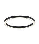 Lampy sufitowe - Paul Neuhaus Pure-Lines 70cm Sufitowa Z Pilotem Z Regulacją Barwy Światła I Ściemnianiem Antracyt 6306-13 - product 1