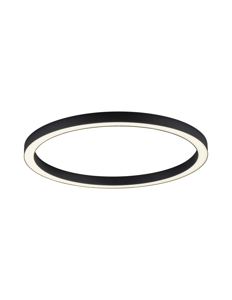 Lampy sufitowe - Paul Neuhaus Pure-Lines 70cm Sufitowa Z Pilotem Z Regulacją Barwy Światła I Ściemnianiem Antracyt 6306-13 - produkt kolory-swiatla.pl 1