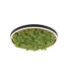 Lampy sufitowe - Leuchten Direkt Green Ritu 39cm Mech Islandzki Ściemniana 3-Stopniowo Zwykłym Włącznikiem 3000K Czarny/Zielony 15391-66 - produkt 1