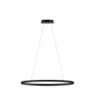 Lampy wiszące - Paul Neuhaus Titus 80cm Wisząca Owalna Funkcja Płynnego Ściemniania Zwykłym Włącznikiem Ściennym Antracyt 2392-13 - product 1