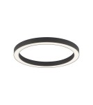 Lampy sufitowe - Paul Neuhaus Pure-Lines 50cm Sufitowa Z Pilotem Z Regulacją Barwy Światła I Ściemnianiem Antracyt 6309-13 - produkt 1