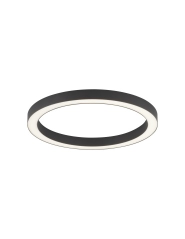 Paul Neuhaus Pure-Lines 50cm Sufitowa Z Pilotem Z Regulacją Barwy Światła I Ściemnianiem Antracyt 6309-13