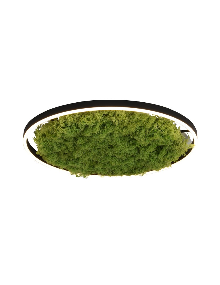 Lampy sufitowe - Leuchten Direkt Green Ritu 58cm Mech Islandzki Ściemniana 3-Stopniowo Zwykłym Włącznikiem 3000K Czarny/Zielony 15392-66 - produkt kolory-swiatla.pl 1