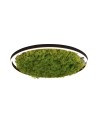 Leuchten Direkt Green Ritu 58cm Mech Islandzki Ściemniana 3-Stopniowo Zwykłym Włącznikiem 3000K Czarny/Zielony 15392-66