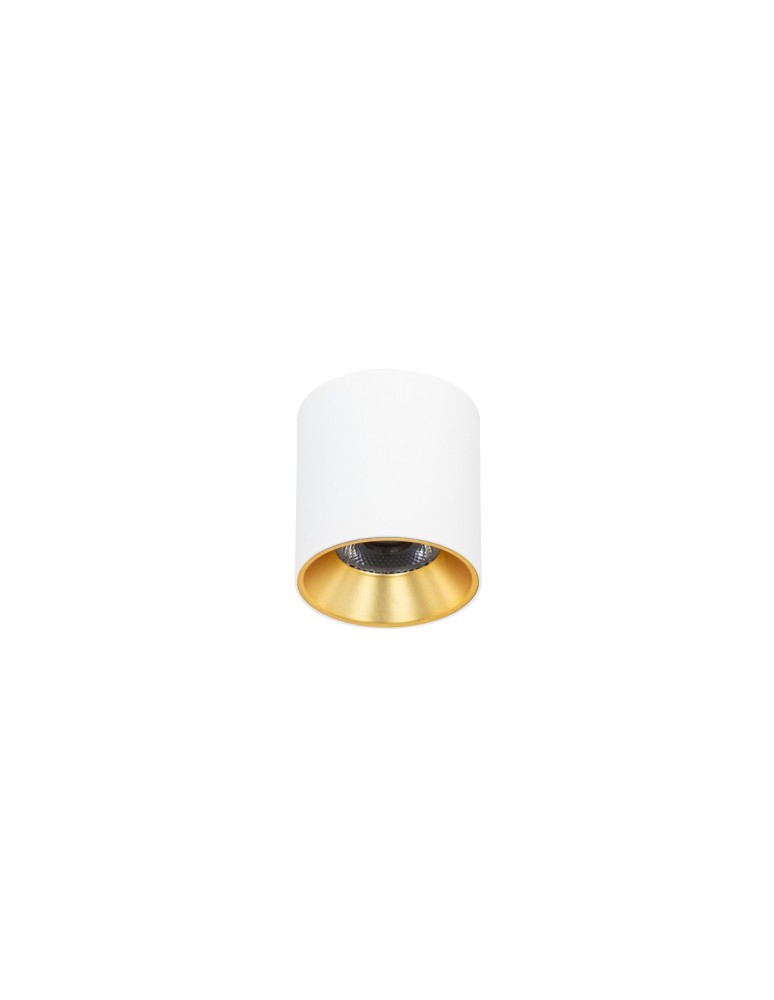 Italux Altisma Natynkowa Biały mat, złoty wewnątrz 1xLED 10W 3000K CLN-6677-75-WH-GD-3K
