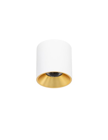 Italux Altisma Natynkowa Biały mat, złoty wewnątrz 1xLED 15W 3000K CLN-6677-95-WH-GD-3K