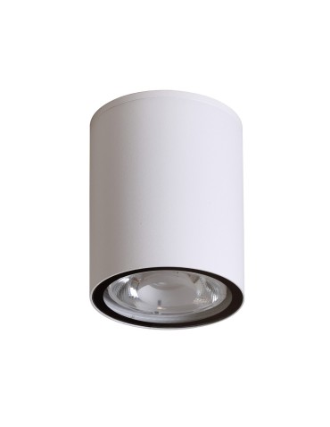 Italux Fano 3K Zewnętrzna Natynkowa Biały piaskowany IP54 1xLED 6W 3000K OPN-2006-3K - product 2
