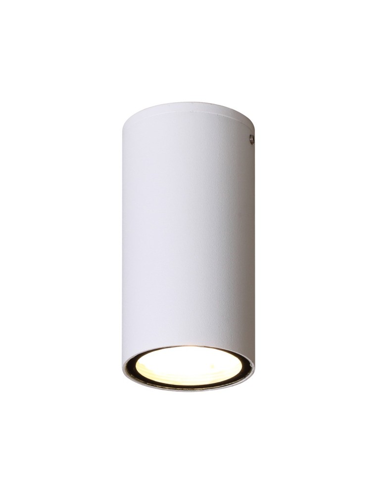 Italux Fano 3K Zewnętrzna Natynkowa Biały piaskowany IP54 1xLED 3W 3000K OPN-2002-3K