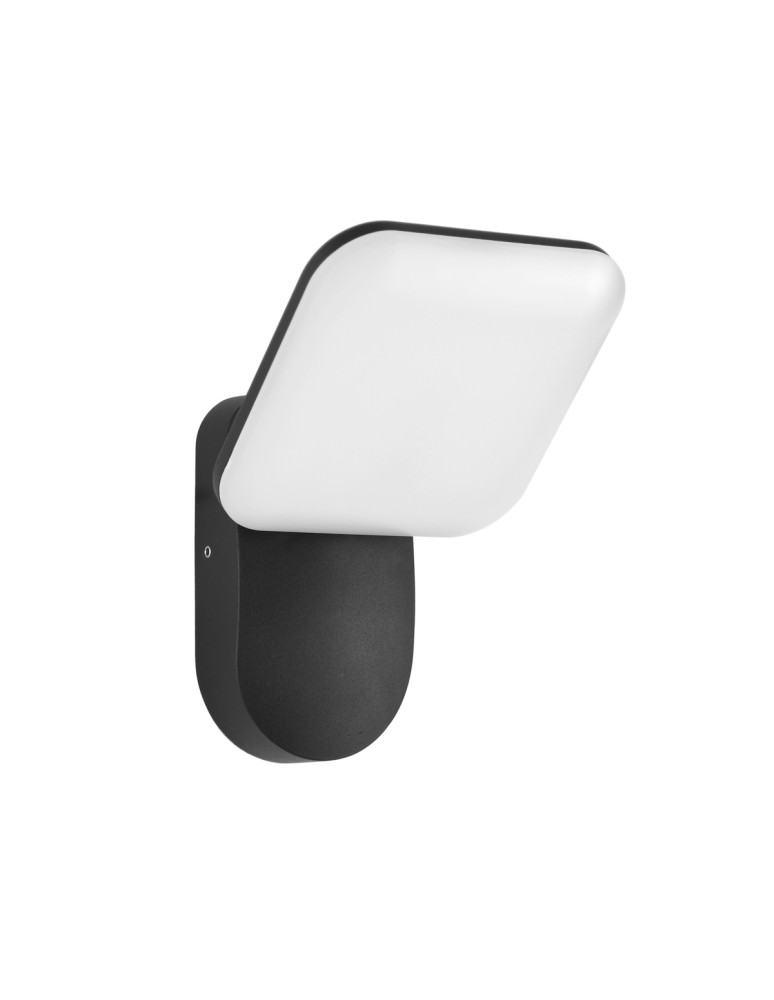 Italux Nammi Zewnętrzna Ścienna Czarny piaskowany IP54 1xLED 12W 3000K OWL-6206-3K