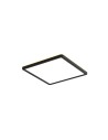 Italux Aleria Plafon Czarny 1xLED 22W Przód: 2800K+4000K+6000K, bok zawsze 2800K PLF-39573-230S-22W-BL