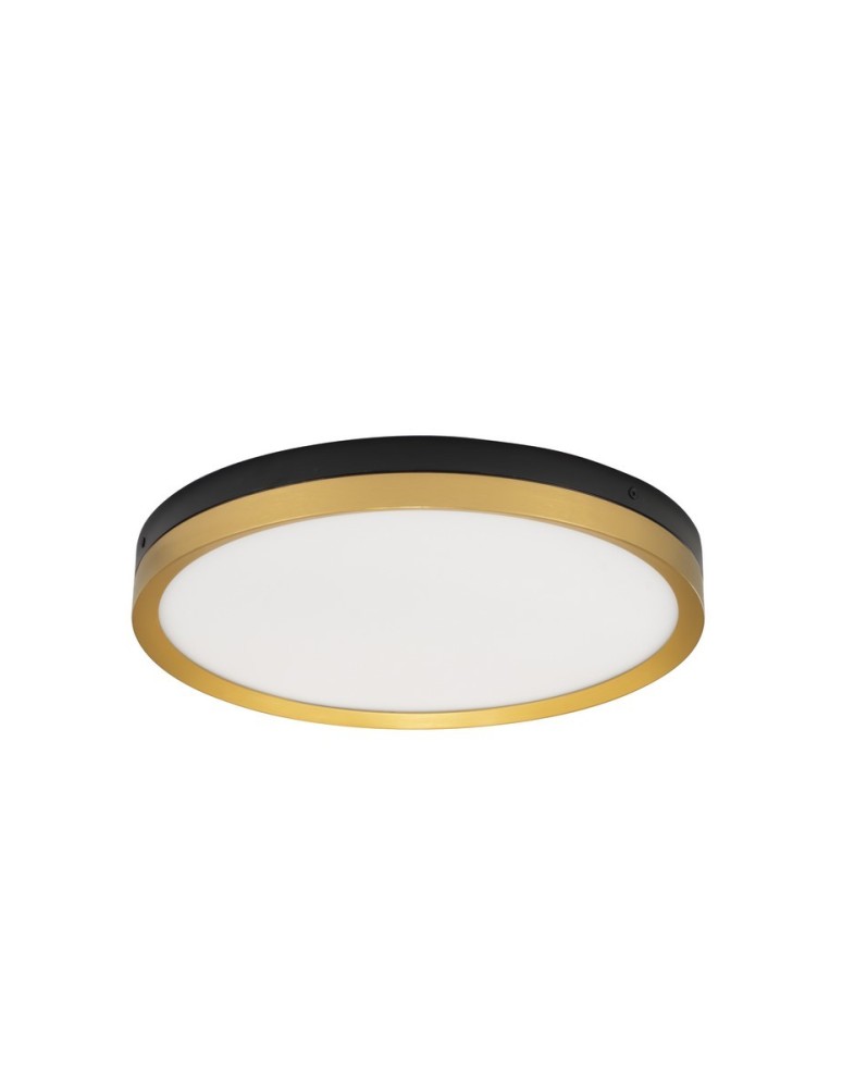Lampy sufitowe - Luces Exclusivas BANE Sufitowa Nowoczesna czarny 1xLED max 31W 3000K LE43228 - produkt kolory-swiatla.pl 1