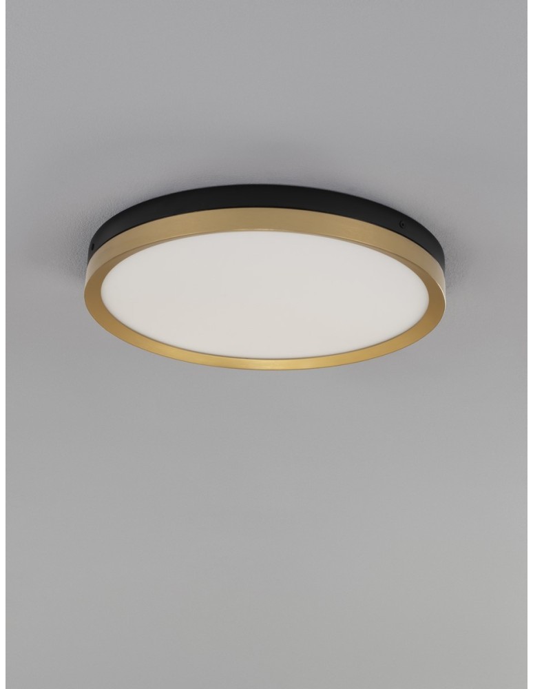 Lampy sufitowe - Luces Exclusivas BANE Sufitowa Nowoczesna czarny 1xLED max 31W 3000K LE43228 - product kolory-swiatla.pl 2