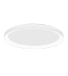 Lampy sufitowe - Luces Exclusivas ROTA Sufitowa Nowoczesna biały 1xLED max 30W 2700K LE43522 - produkt 1