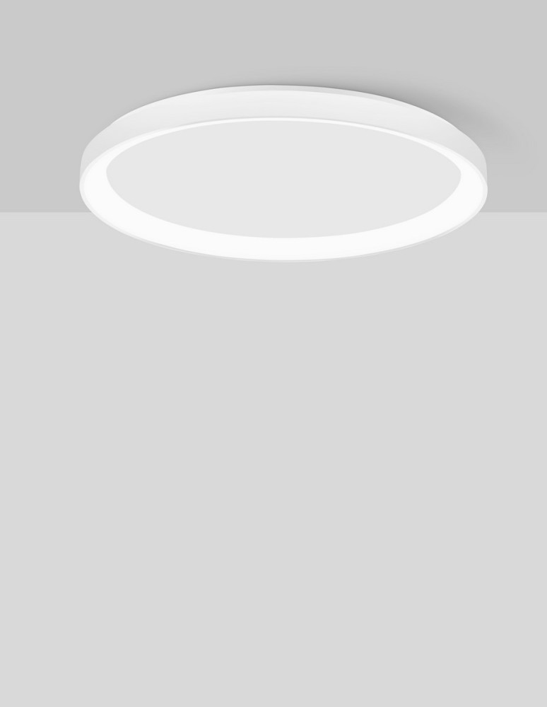 Luces Exclusivas ROTA Sufitowa Nowoczesna biały 1xLED max 50W 2700K LE43525