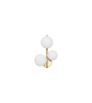 Kinkiety - Luces Exclusivas PARLA Ścienna Nowoczesna złoty i odcienie złota 3xG9 max 5W LE43677 - product 1