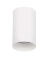 Luces Exclusivas ACANCEH Natynkowa Spot biały 1xGU10 max 10W LE61625