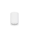 Luces Exclusivas ACANCEH Natynkowa Spot biały 1xGU10 max 10W LE61626