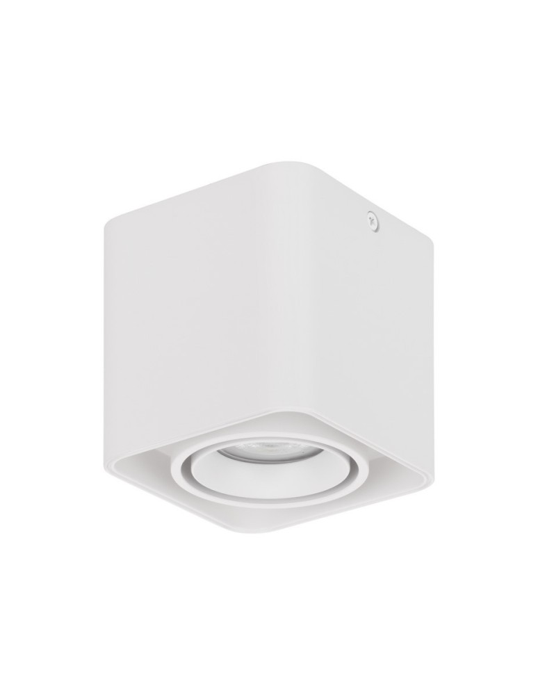 Lampy tuby - Luces Exclusivas ACATIPA Natynkowa Spot biały 1xGU10 max 10W LE61638 - produkt kolory-swiatla.pl 1