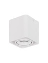 Luces Exclusivas ACATIPA Natynkowa Spot biały 1xGU10 max 10W LE61638