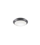 Lampy zewnętrzne sufitowe - RL CAMARO Zewnętrzna Sufitowa 1xE27 max 12W Antracyt R60501042 - product 1
