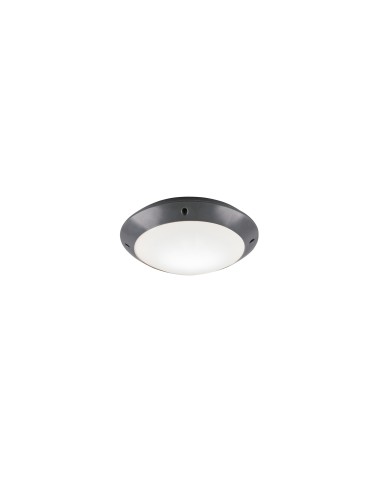 RL CAMARO Zewnętrzna Sufitowa 1xE27 max 12W Antracyt R60501042