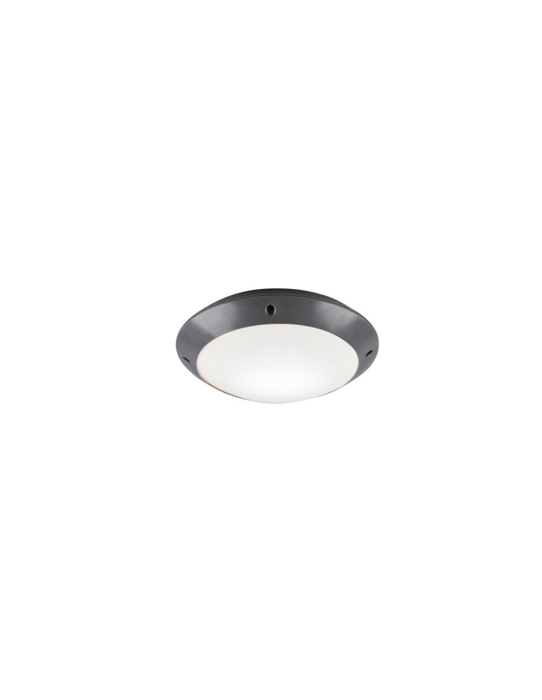 Lampy zewnętrzne sufitowe - RL CAMARO Zewnętrzna Sufitowa 1xE27 max 12W Antracyt R60501042 - produkt kolory-swiatla.pl 1