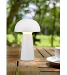 Lampy ogrodowe przenośne - RL LENNON Zewnętrzna Przenośna 1xLED max 2W 3000K Biały R52176101 - produkt 2
