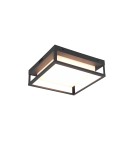 Lampy zewnętrzne sufitowe - Trio WITHAM Zewnętrzna Sufitowa 1xLED max 14W 2300+3000+4000K Antracyt 677860142 - produkt 1