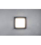 Lampy zewnętrzne sufitowe - Trio WITHAM Zewnętrzna Sufitowa 1xLED max 14W 2300+3000+4000K Antracyt 677860142 - produkt 2
