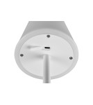 Lampy ogrodowe przenośne - RL MARTINEZ Zewnętrzna Przenośna 1xLED max 2W 2700-6500K Biały Mat R54086131 - product 3
