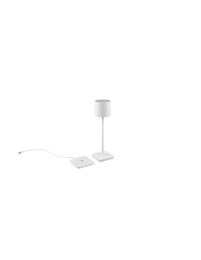 Lampy ogrodowe przenośne - RL FERNANDEZ Zewnętrzna Przenośna 1xLED max 1W 2700+4000+6000K Biały Mat R54096131 - produkt kolory-swiatla.pl 1