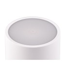 Lampy ogrodowe przenośne - RL FERNANDEZ Zewnętrzna Przenośna 1xLED max 1W 2700+4000+6000K Biały Mat R54096131 - product 3