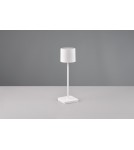 Lampy ogrodowe przenośne - RL FERNANDEZ Zewnętrzna Przenośna 1xLED max 1W 2700+4000+6000K Biały Mat R54096131 - product 6