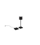 Lampy ogrodowe przenośne - RL FERNANDEZ Zewnętrzna Przenośna 1xLED max 1W 2700+4000+6000K Czarny Mat R54096132 - product 1