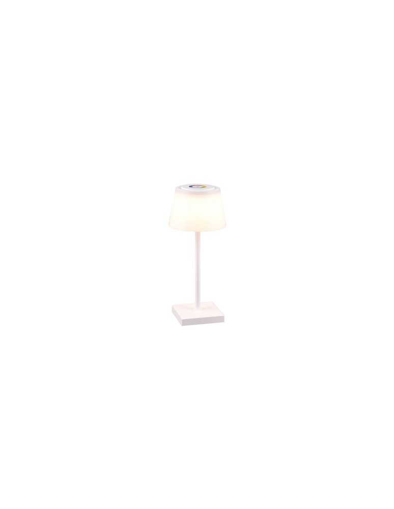 Lampy ogrodowe przenośne - RL SANCHEZ Zewnętrzna Przenośna 1xLED max 2W 3000+4000+5000K Biały Mat R54126131 - produkt kolory-swiatla.pl 1