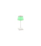 Lampy ogrodowe przenośne - RL SANCHEZ Zewnętrzna Przenośna 1xLED max 2W 3000+4000+5000K Biały Mat R54126131 - product 4