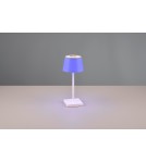 Lampy ogrodowe przenośne - RL SANCHEZ Zewnętrzna Przenośna 1xLED max 2W 3000+4000+5000K Biały Mat R54126131 - product 5