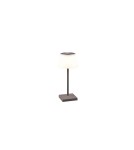 Lampy ogrodowe przenośne - RL SANCHEZ Zewnętrzna Przenośna 1xLED max 2W 3000+4000+5000K Antracyt R54126142 - product 1
