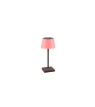 Lampy ogrodowe przenośne - RL SANCHEZ Zewnętrzna Przenośna 1xLED max 2W 3000+4000+5000K Antracyt R54126142 - product 3