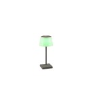 Lampy ogrodowe przenośne - RL SANCHEZ Zewnętrzna Przenośna 1xLED max 2W 3000+4000+5000K Antracyt R54126142 - product 4