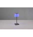 Lampy ogrodowe przenośne - RL SANCHEZ Zewnętrzna Przenośna 1xLED max 2W 3000+4000+5000K Antracyt R54126142 - product 5