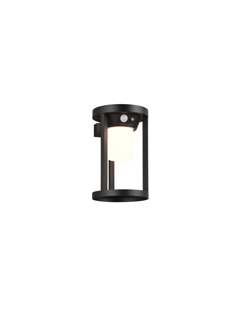 Lampy solarne - Trio CARMO Zewnętrzna Ścienna 1xLED max 2W 3000K Czarny Mat 241069132 - produkt kolory-swiatla.pl 1