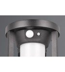 Lampy solarne - Trio CARMO Zewnętrzna Ścienna 1xLED max 2W 3000K Czarny Mat 241069132 - product 5