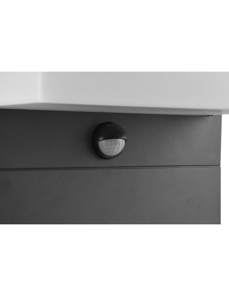 Lampy zewnętrzne z czujnikiem ruchu - Trio NESTOS Czujnik Ruchu Zewnętrzna Stojąca 1xLED max 13W 3000K Antracyt 540969142 - product kolory-swiatla.pl 3