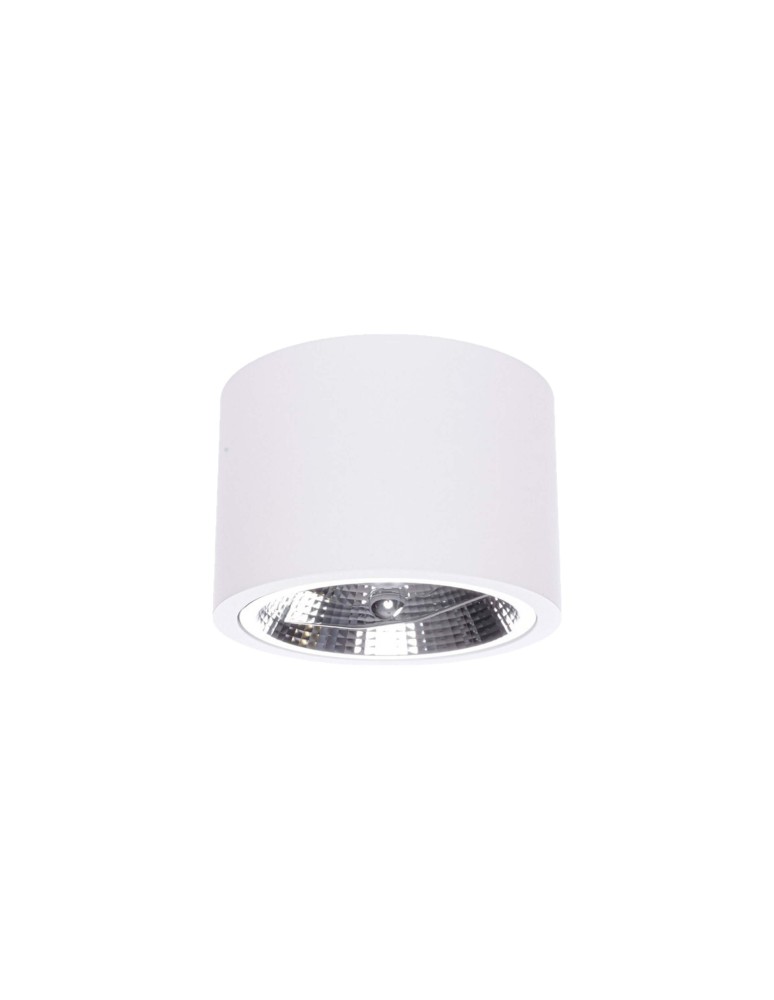 Light Prestige Camino oprawa natynkowa biała LP-1101/1SM WH 1xQR111 biały