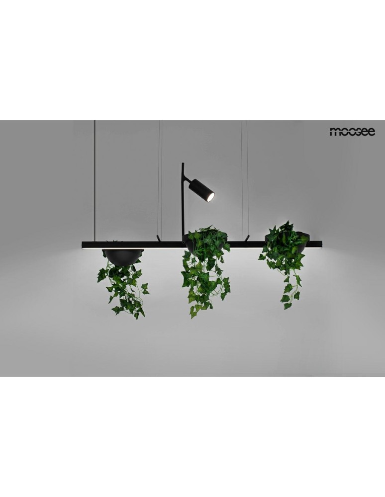 MOOSEE lampa wisząca PLANT LINE czarna (MSE1501100210) MOOSEE lampa wisząca PLANT LINE czarna (MSE1501100210)