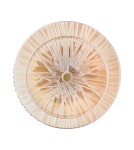 Kinkiety designerskie -  Step Into Design Lampa ścienna LUXIO LED bursztynowa 20 cm ST-3315-2 copper - product 2