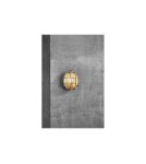Kinkiety zewnętrzne - NORDLUX POLPERRO Lampa Ścienna E27 12,5W Mosiądz Nikiel 49021055 - product 5